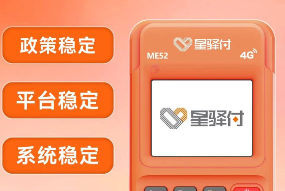 星驿付4G电签POS机产品图